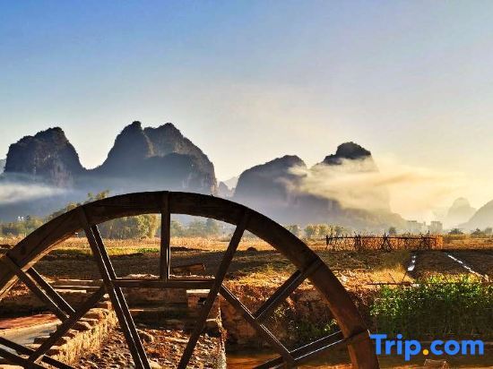 Цзиньюань: Yingxi Peak Forest Corridor Xingxiwei Homestay