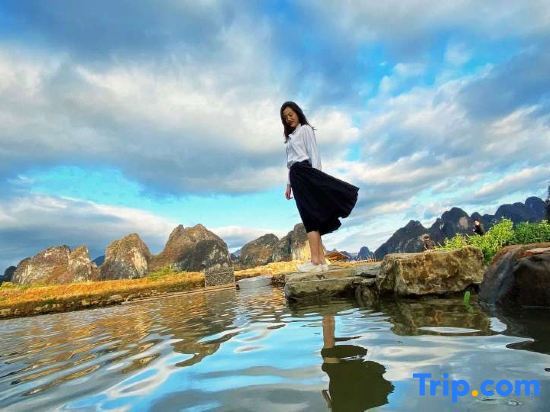Цзиньюань: Yingxi Peak Forest Corridor Xingxiwei Homestay