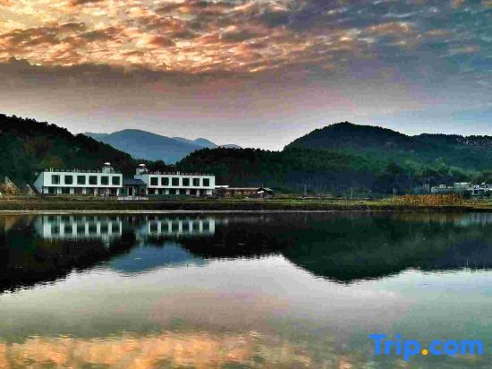 Цзиньюань: Yingxi Peak Forest Corridor Xingxiwei Homestay
