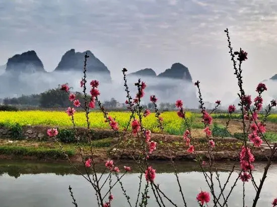 Цзиньюань: Yingxi Peak Forest Corridor Xingxiwei Homestay