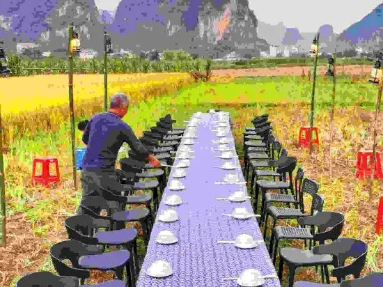 Цзиньюань: Yingxi Peak Forest Corridor Xingxiwei Homestay