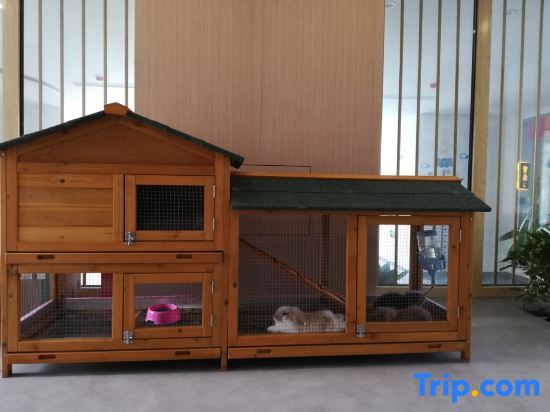 Уху: Lily's house