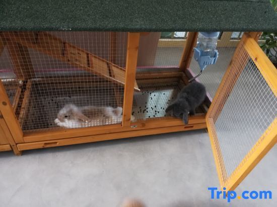 Уху: Lily's house