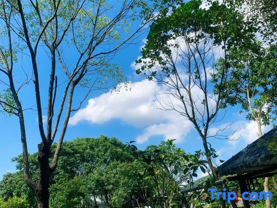 Хойчжоу: Luofu Mountain Fengguyuan Streamside Homestay