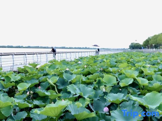 Хучжоу: Maison New Century Resort Huzhou