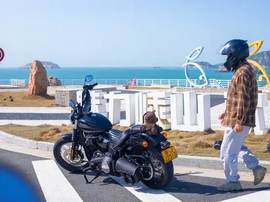 Чжоушань: Gouqi Qingyawan Seaview Homestay (Dongya Jeep Shop)