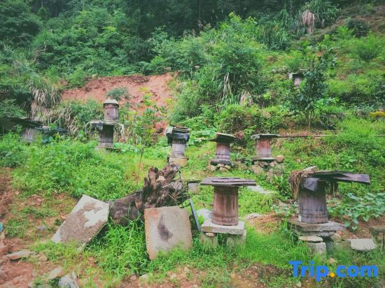 Ханчжоу: Chun'an Fruit Cooked the Guesthouse