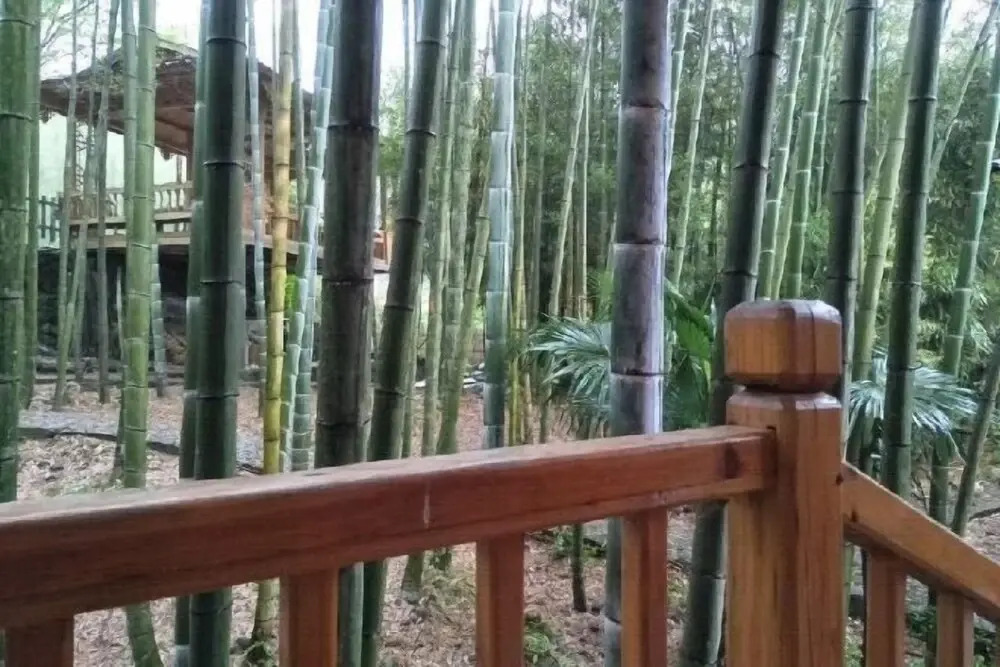Гуйлинь: Heyuan Holiday Guesthouse