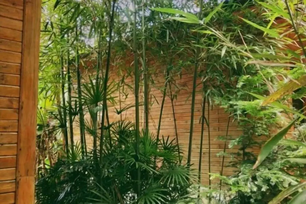Гуйлинь: Heyuan Holiday Guesthouse