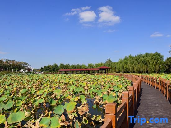 Шанхай: Dianshan Lake Liuxia Shiguang Homestay（Cai Bang Cun Store ）