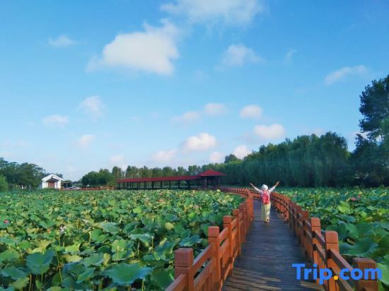 Шанхай: Dianshan Lake Liuxia Shiguang Homestay（Cai Bang Cun Store ）