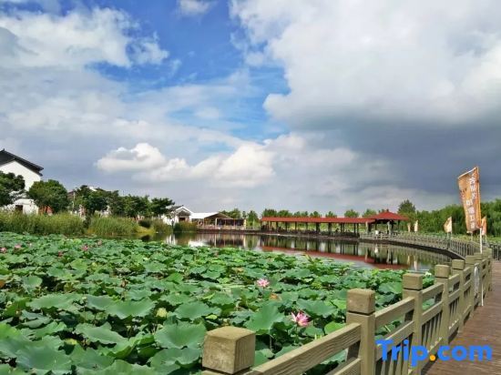 Шанхай: Dianshan Lake Liuxia Shiguang Homestay（Cai Bang Cun Store ）