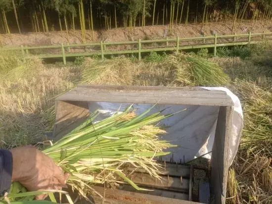 Ханчжоу: Tonglu She Township Bamboo House