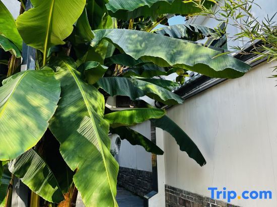 Чанша: Changsha Dajia Xiaoyuan B&B (Shiyan Lake Eco-tourism Scenic Spot)
