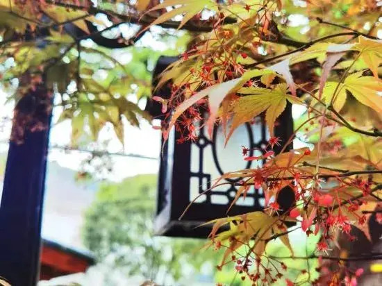 Чанша: Changsha Dajia Xiaoyuan B&B (Shiyan Lake Eco-tourism Scenic Spot)