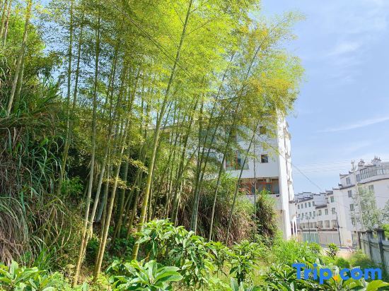 Шанграо: Hanlu Hostel