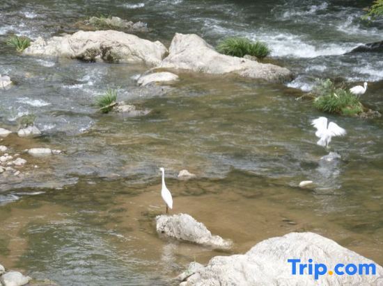 Лишуй: Suichang Feiyun Boutique Homestay