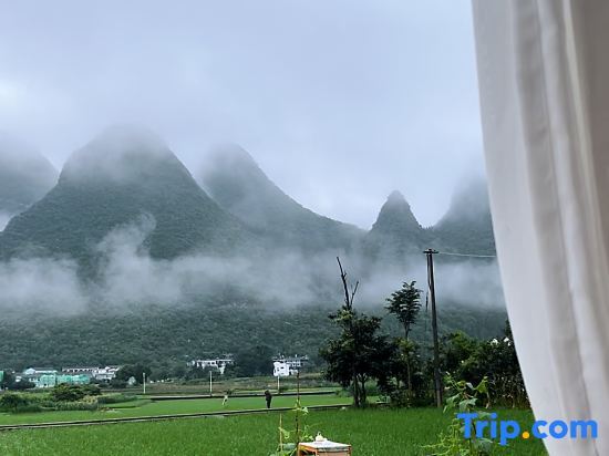 Синъи: Xingyi WanfengLin jielu Homestay