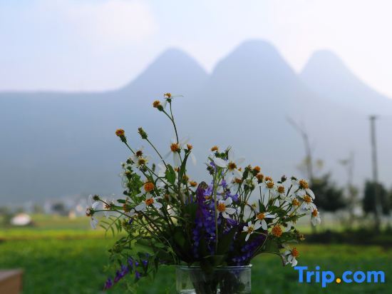 Синъи: Xingyi WanfengLin jielu Homestay