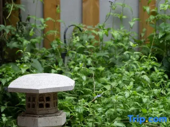 Пекин: Beijing Liuhe Private Tang B&B