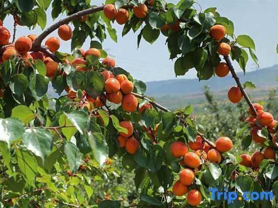 Пекин: International Seed Industry Training Center