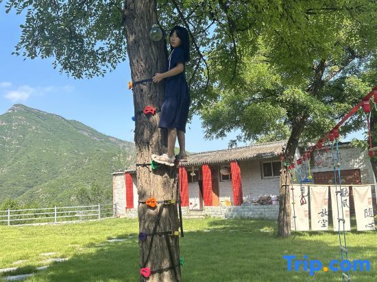 Пекин: You Lan UFun Camp