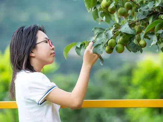 Пекин: Xiangbo Bowen Travel has a mining homestay at home