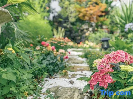 Дали: Dali Amy Garden Homestay