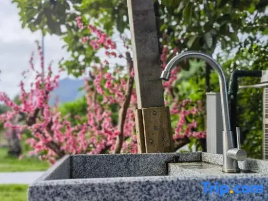 Ваньнин: Wanning Riyuewan Flower Romantic Homestay