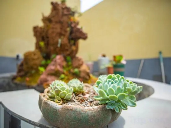 Яань: Hanyuan Yufengyuan Homestay