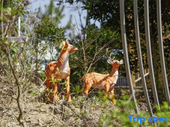 Лунъянь: Shanghang Gutian Yunshang Jing Homestay