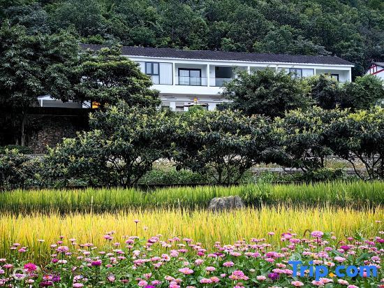 Синъи: Xingyi QingqingYuye Homestay