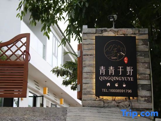 Синъи: Xingyi QingqingYuye Homestay