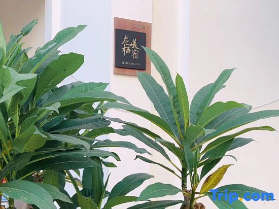Ледун: Longxi Meisu Sea View Apartment