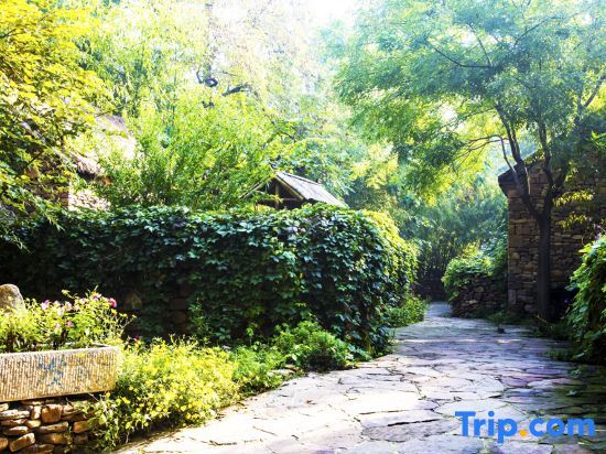 Линьи: Zhuquancun Boutique Homestay