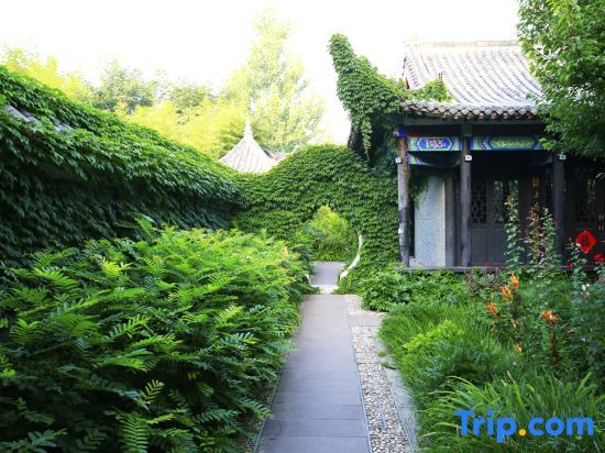 Линьи: Zhuquancun Boutique Homestay