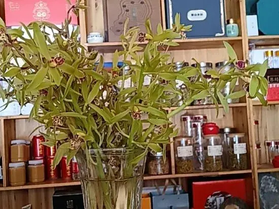 Луань: Huoshan View Tea House