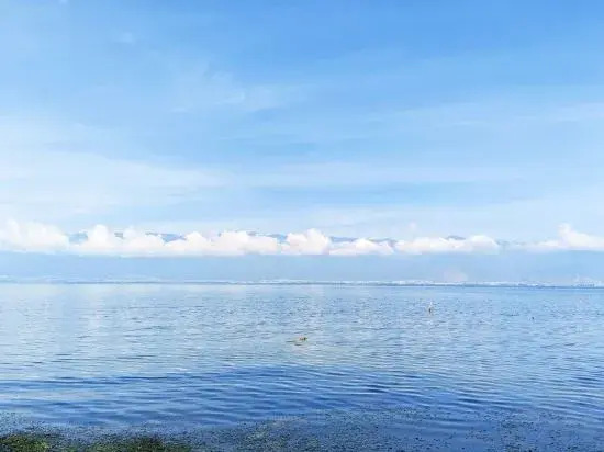 Дали: Bohai Boutique Seaview Courtyard