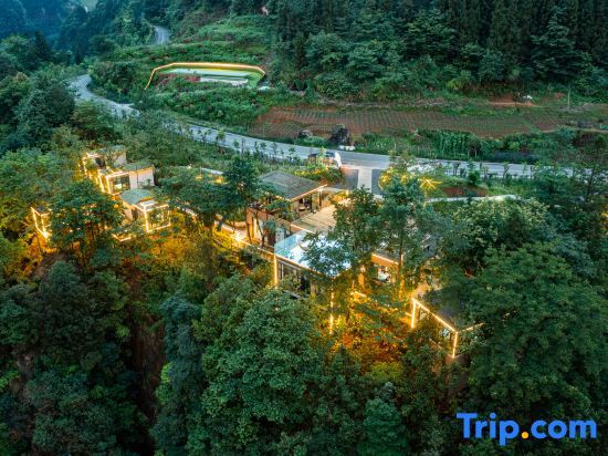 Чунцин: Simianshan Mountain Villa Starry Sky Homestay