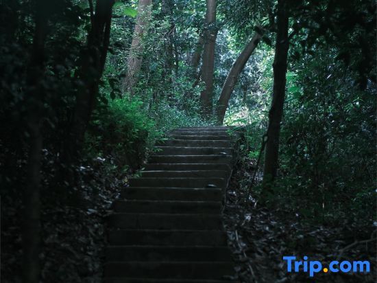 Чунцин: Yuanju Yuanchu Homestay