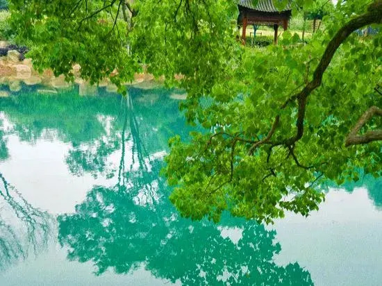 Ханчжоу: Fengyi Homestay