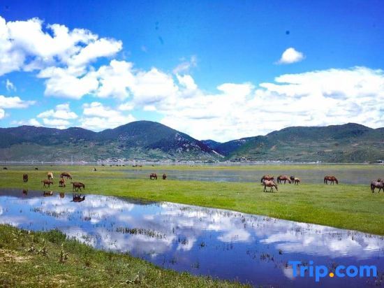 Шангри-Ла: Shangri-La No.1 Bieyuan Boutique Homestay (Dukezong Ancient City Sifang Street Branch)