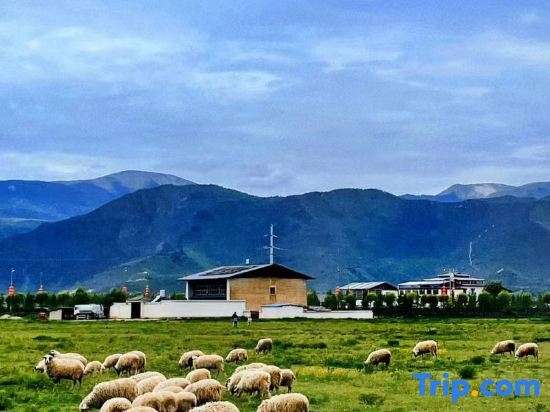 Шангри-Ла: Shangri-La No.1 Bieyuan Boutique Homestay (Dukezong Ancient City Sifang Street Branch)