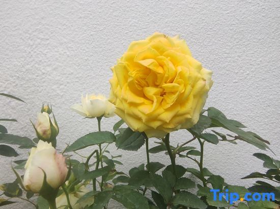 Синъи: Wanfenglin Shiguangli Homestay