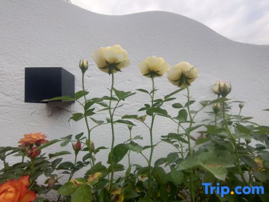 Синъи: Wanfenglin Shiguangli Homestay