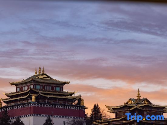 Шангри-Ла: Shangri La Shanye Old Residence Homestay