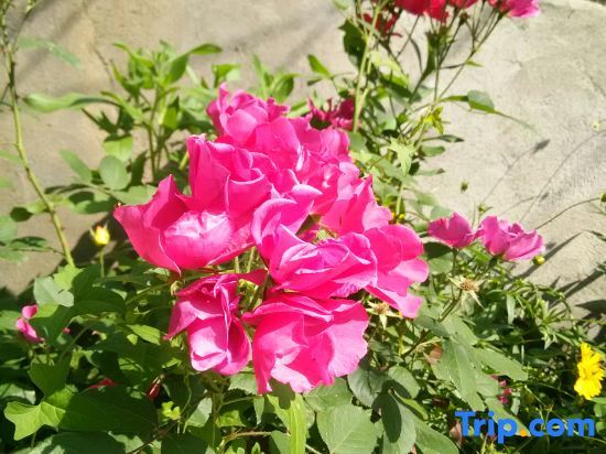 Линьи: Mengyin Yuyuan Homestay