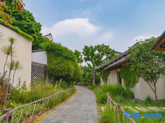 Хойчжоу: Huizhou autumn long valley home stay
