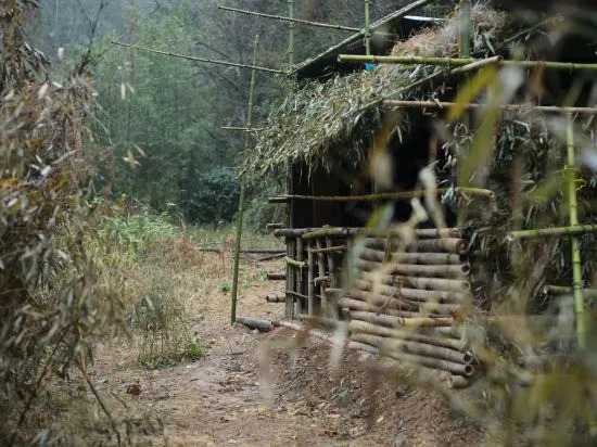 Ханчжоу: Hangzhou Baizhou Homestay