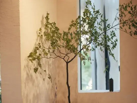Ханчжоу: Hangzhou Baizhou Homestay